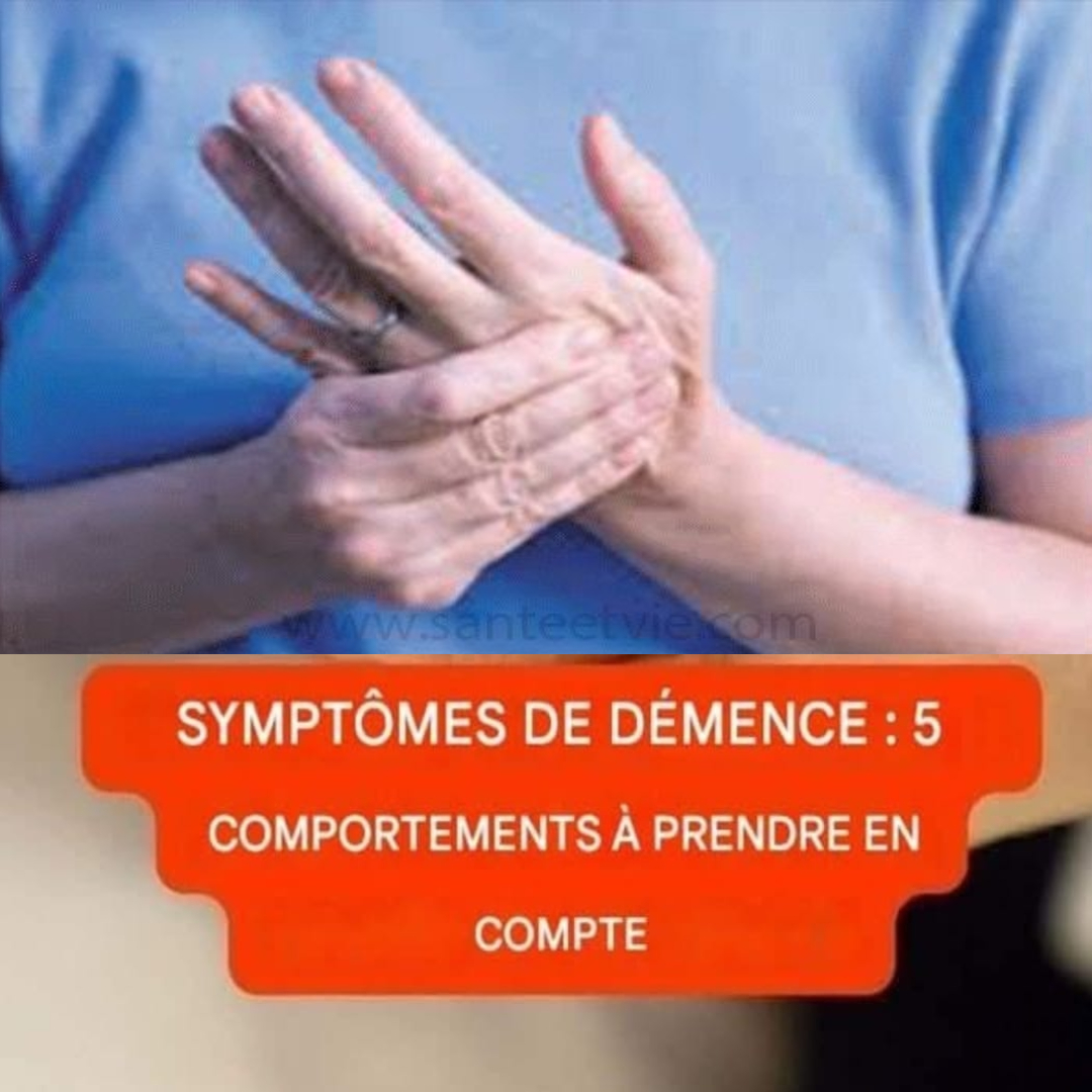 1f81aea36b4f043ad7 copy 758x416 6 1 taha 2 taha taha 2 185 1 2