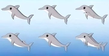 486573444 1063668239131084 4651378974725568947 n