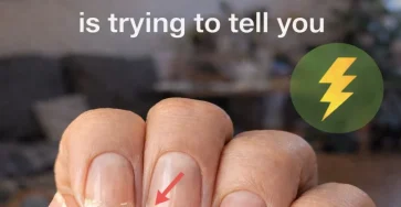 611528759 852816034398001 5452242629920072838 n