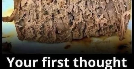 WhatsApp Image 2026 02 17 at 19.35.09