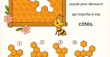 B19c9696 9a7f 4452 af84 2625da1125b7