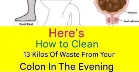 0dce761c e548 402d b63b 81086b442124