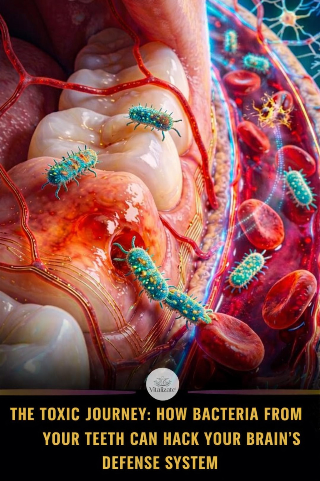 1ea206b4 5ab7 4efc b006 fd581a5a32c7