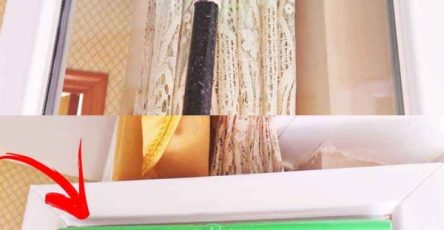 347428656 215005961484714 7550485625564437325 n