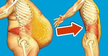 3a68902c d9f6 4259 a77d e80c715c28bb