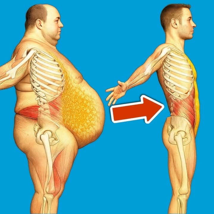 3a68902c d9f6 4259 a77d e80c715c28bb