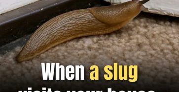 3d708bec 8994 4eeb 8554 f3a56dbacbda