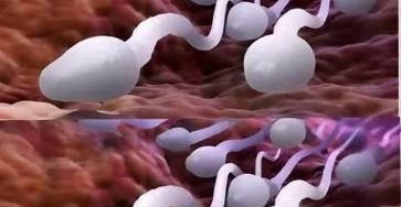 424579890 289046134191418 6334192277646459700 n 12 8