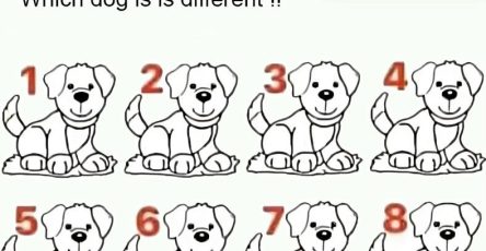 470194348 10171027112880144 3850854263750847983 n