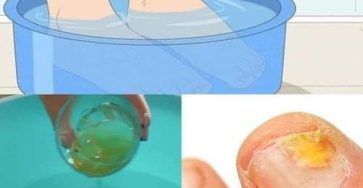 474949657 122182949048254616 2494968280066011324 n 1