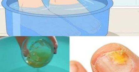 474949657 122182949048254616 2494968280066011324 n 1