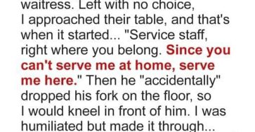 481249129 1196027461915951 4972515808738705017 n