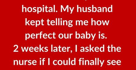 487365993 1056055233212160 6098355722393666449 n