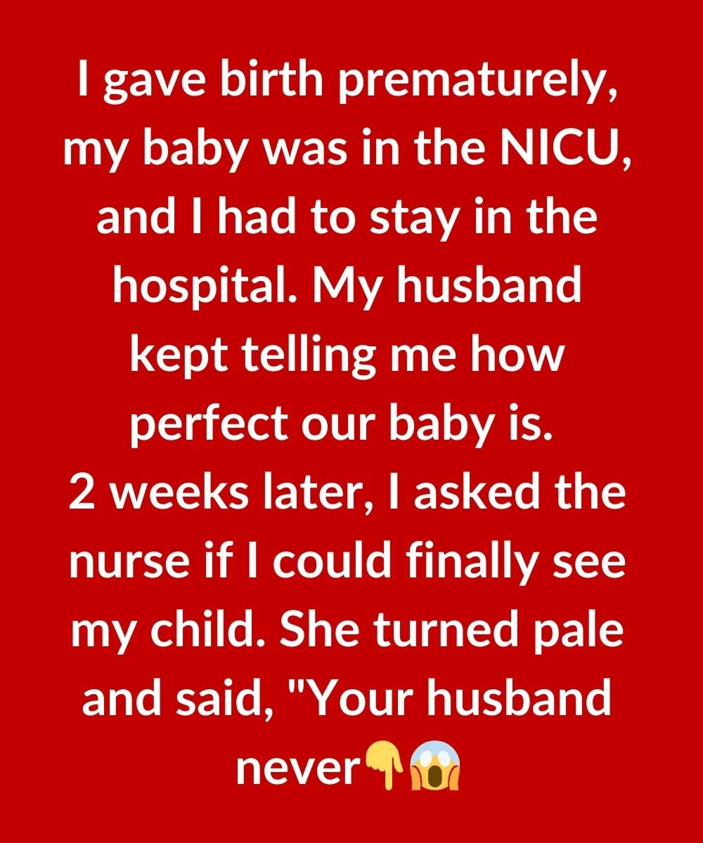 487365993 1056055233212160 6098355722393666449 n