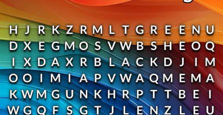 499862623 1154529510036762 8721908692628563265 n