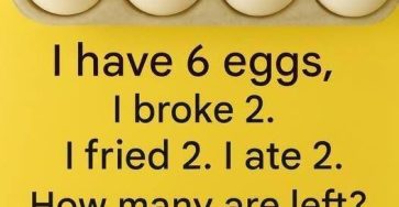 506475846 1276080433910653 8100570807415422769 n 28 196 768x960 87 768x960 105