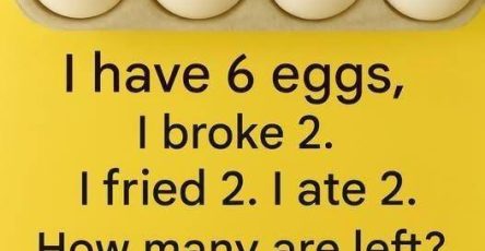 506475846 1276080433910653 8100570807415422769 n 28 196 768x960 87 768x960 105