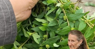 535971031 763285883336406 1921663065036792158 n