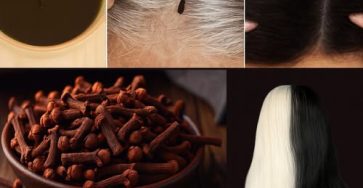 536583196 763223276676000 2955447365408828122 n