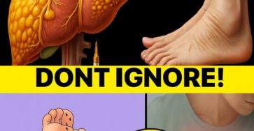 537417251 763282750003386 4507210769441733030 n