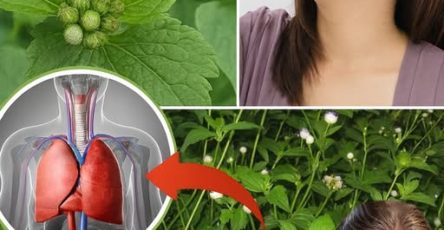 538098912 763513603313634 3725645423028128475 n