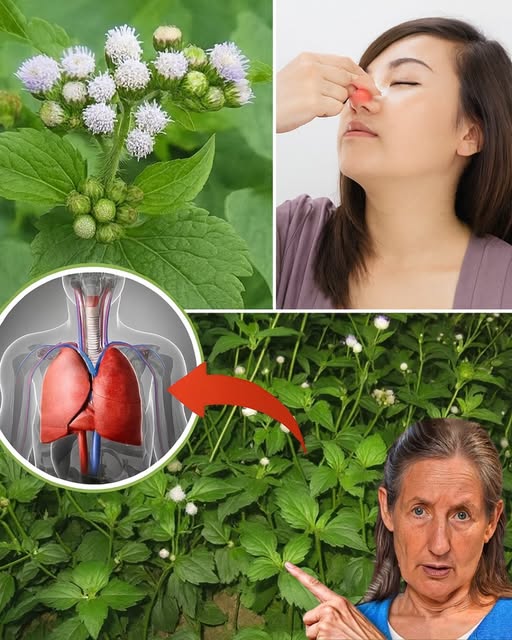 538098912 763513603313634 3725645423028128475 n