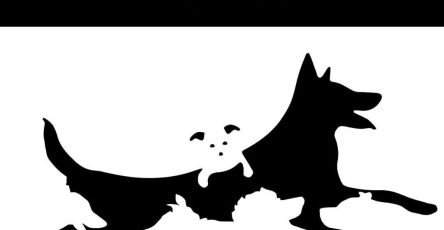 538980438 1812186399672241 6090281847664761729 n