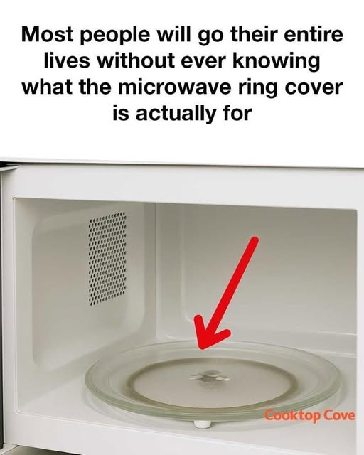 541815447 1466891961402025 3015056410059832044 n