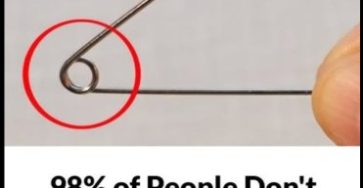 542375483 1728213741900880 7365319664345333286 n