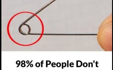 542375483 1728213741900880 7365319664345333286 n