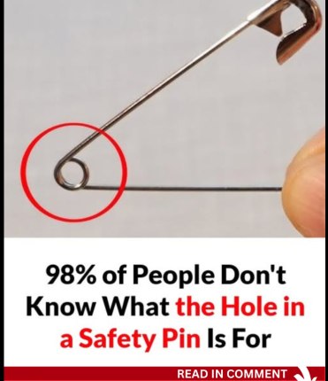 542375483 1728213741900880 7365319664345333286 n