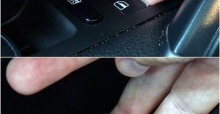 543382846 1263844468756984 3497426627121812750 n