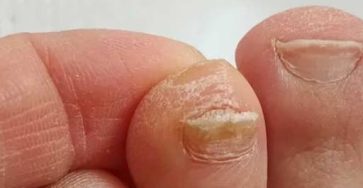 555541862 816506174160879 4006571634205221958 n