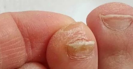 555541862 816506174160879 4006571634205221958 n