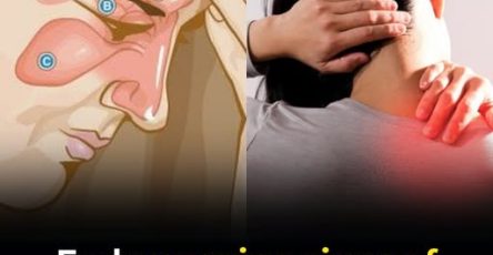 559499660 1277822684027583 1095831003155884879 n