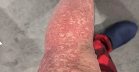 565810336 1550902546265251 6696128045365747977 n