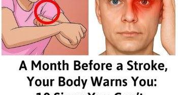 577866680 1431839968638391 3406183118547193578 n