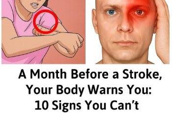 577866680 1431839968638391 3406183118547193578 n