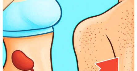 587277213 1284572753702788 4829471122542529704 n (1)