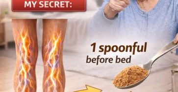 5c3c8262 7d9f 4a13 ad85 83e717a63446