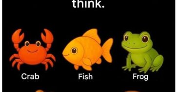 600540741 2335151523581769 1883571043627572840 n