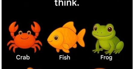 600540741 2335151523581769 1883571043627572840 n