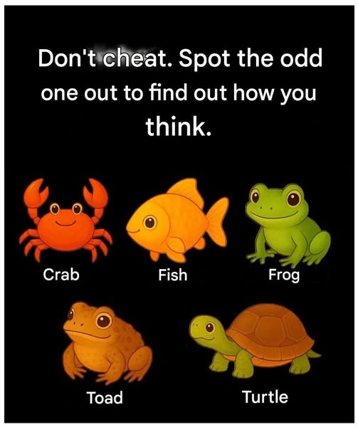 600540741 2335151523581769 1883571043627572840 n