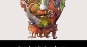 602315511 122104448985172080 3401223814870113276 n