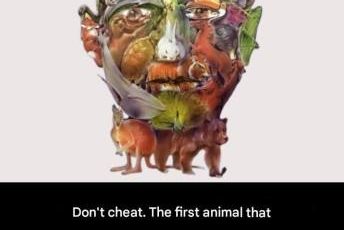 602315511 122104448985172080 3401223814870113276 n