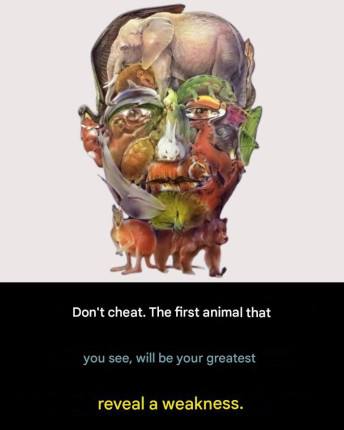 602315511 122104448985172080 3401223814870113276 n