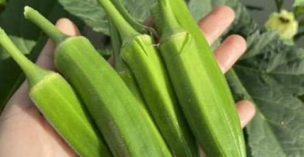 604734282 2108904806549561 2482107411436633690 n