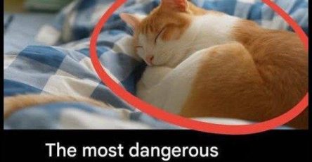 605881847 122193577316374218 1859901705949247206 n