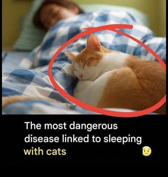 605881847 122193577316374218 1859901705949247206 n