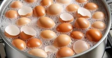 616573064 122231486138040716 6419076350672952998 n